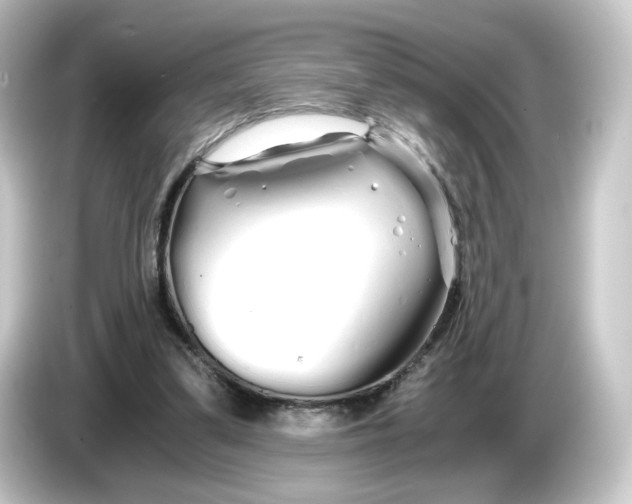 X0000084550299200703161651