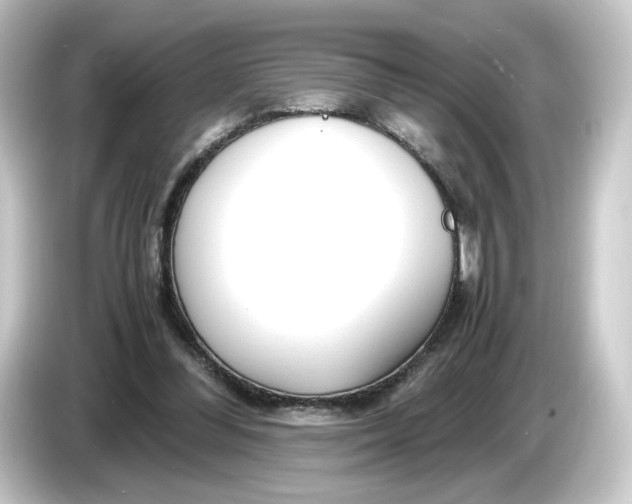 X0000084550300200703161651