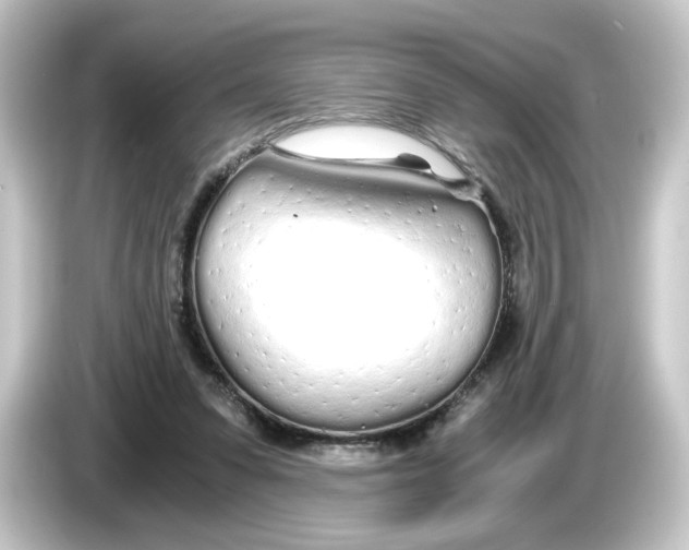 X0000084550303200703161651