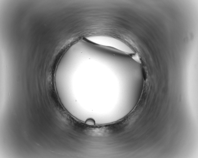 X0000084550306200703161651