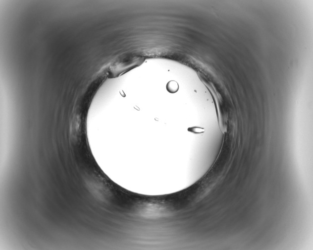 X0000084550308200703161651