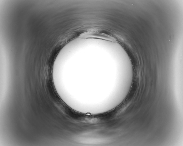 X0000084550311200703161651