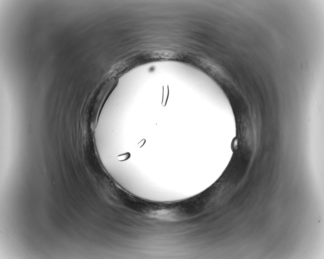 X0000084550312200703161651