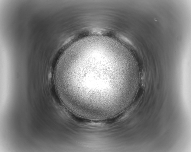 X0000084550314200703161651