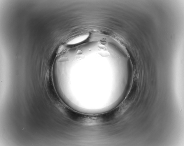 X0000084550315200703161651