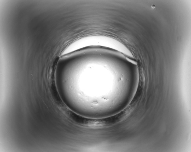 X0000084550319200703161651