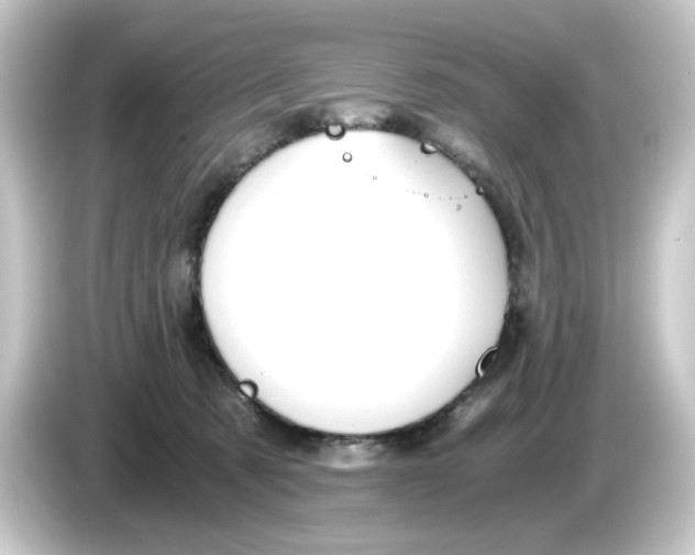 X0000084550321200703161651