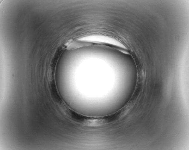 X0000084550323200703161651