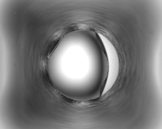 X0000084550329200703161651