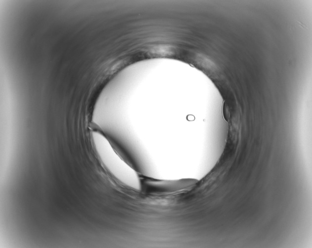 X0000084550330200703161651