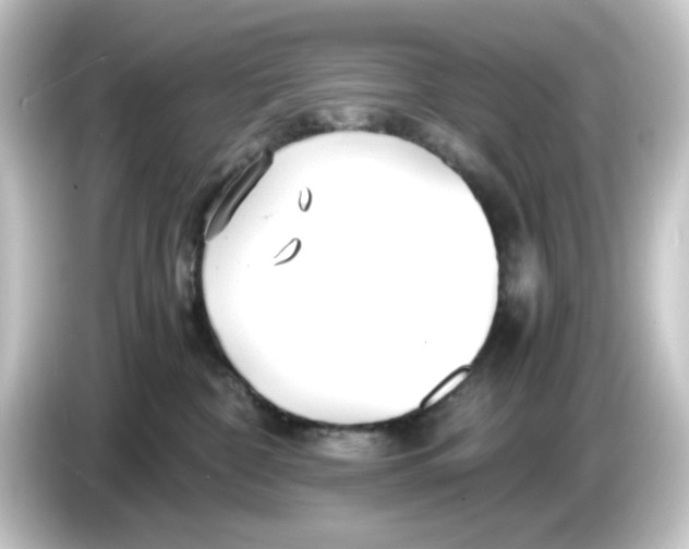 X0000084550332200703161651