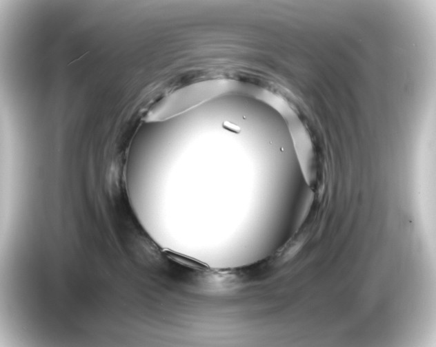 X0000084550333200703161651