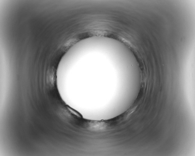 X0000084550334200703161651