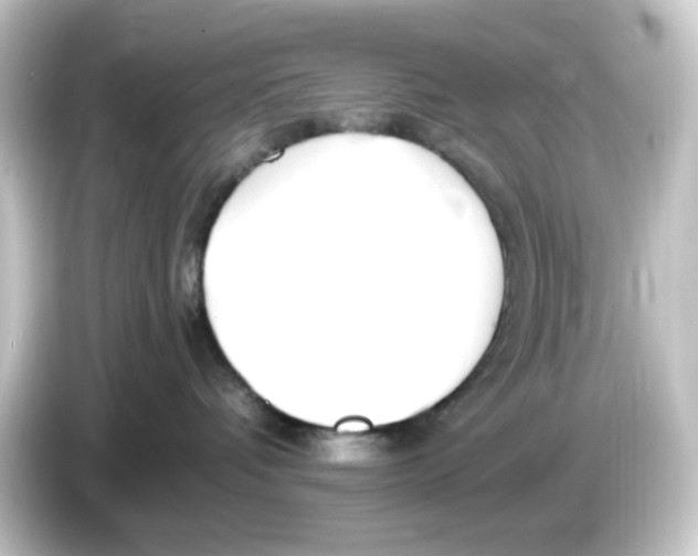 X0000084550336200703161651