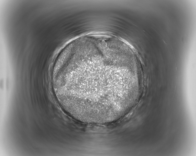 X0000084550337200703161650