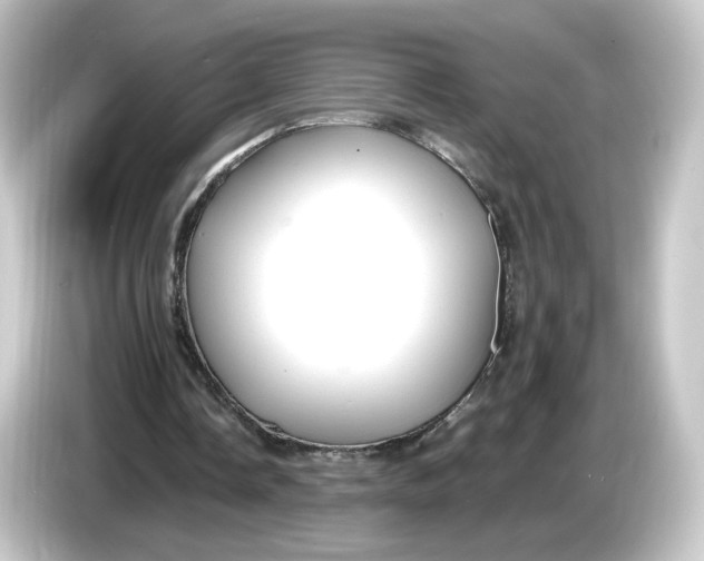 X0000084550338200703161650