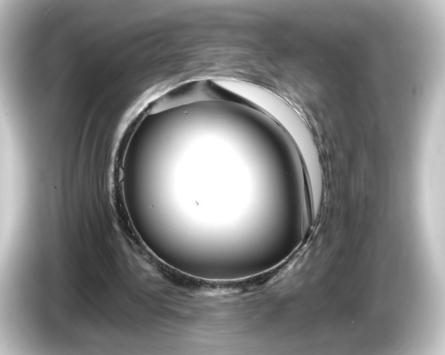 X0000084550340200703161650