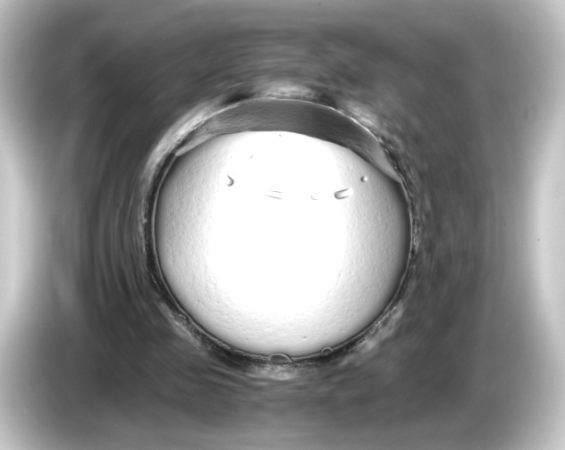 X0000084550341200703161650