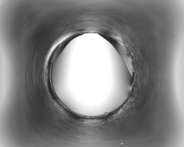 X0000084550342200703161650