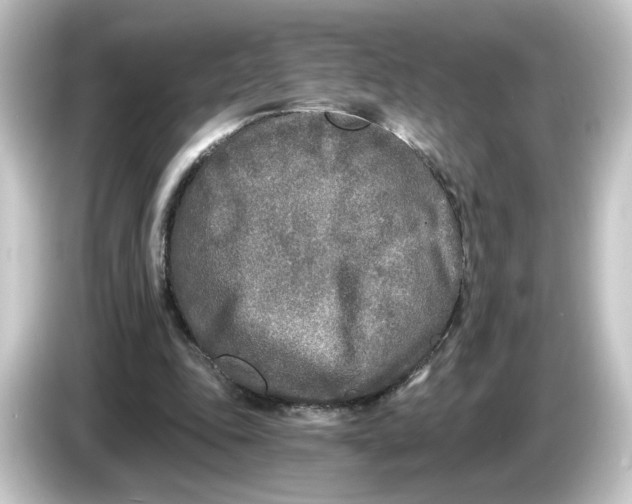 X0000084550343200703161650