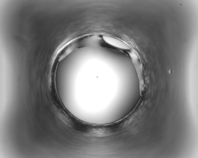 X0000084550344200703161650