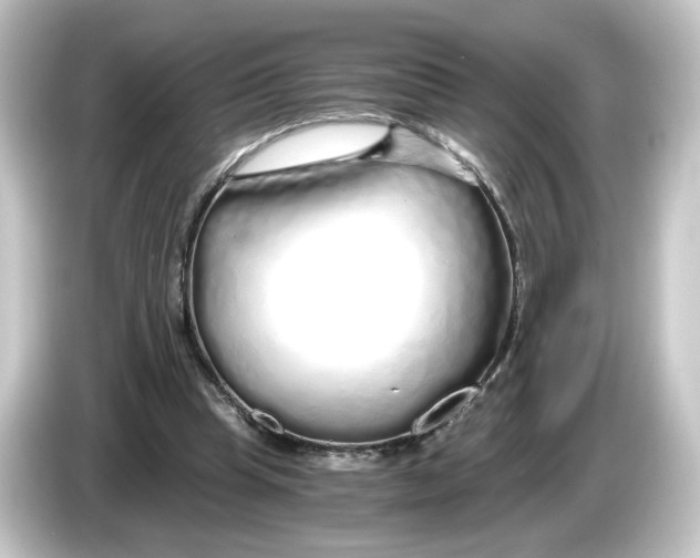 X0000084550345200703161650