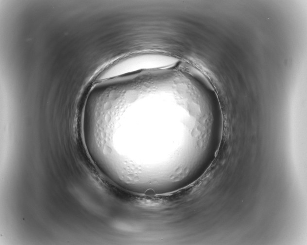 X0000084550346200703161650