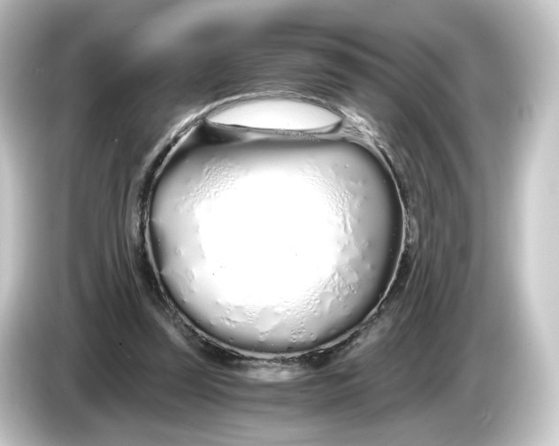 X0000084550347200703161650