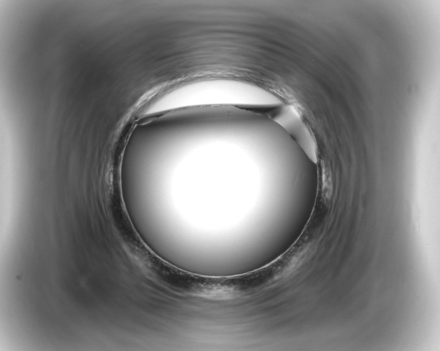 X0000084550348200703161650