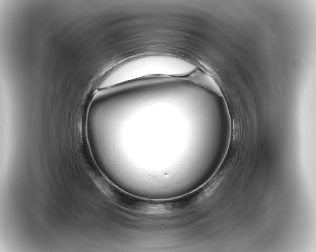 X0000084550349200703161650