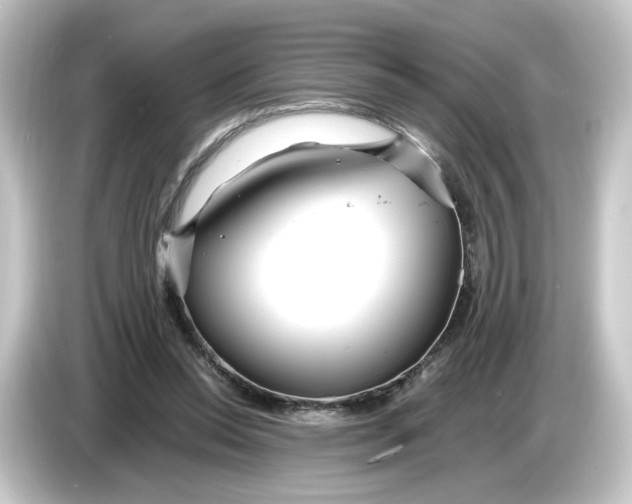 X0000084550350200703161650