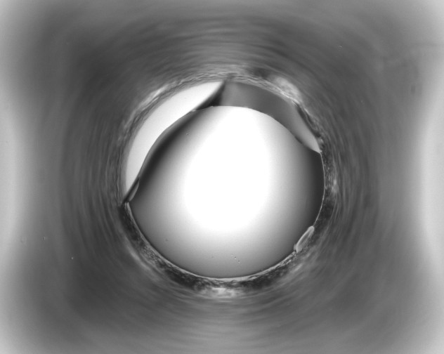 X0000084550352200703161650