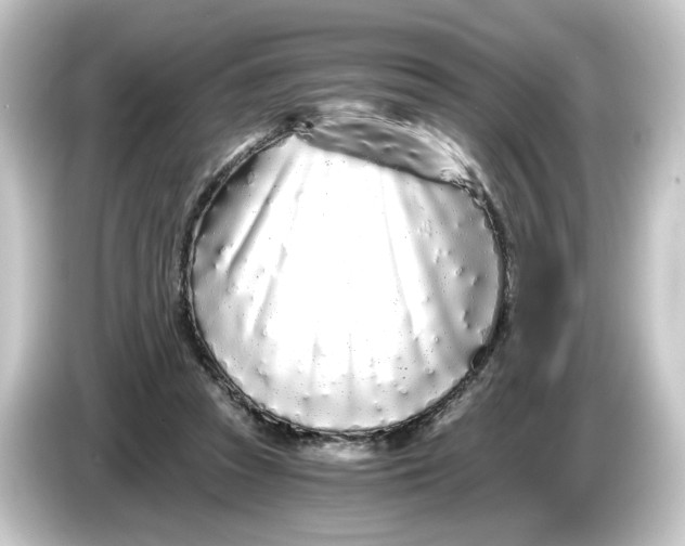 X0000084550353200703161650