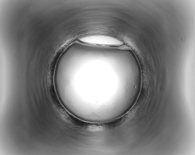 X0000084550354200703161650