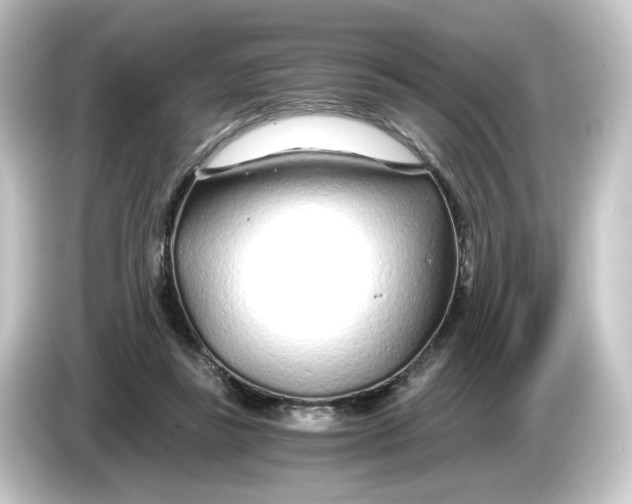 X0000084550355200703161650