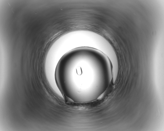 X0000084550356200703161650