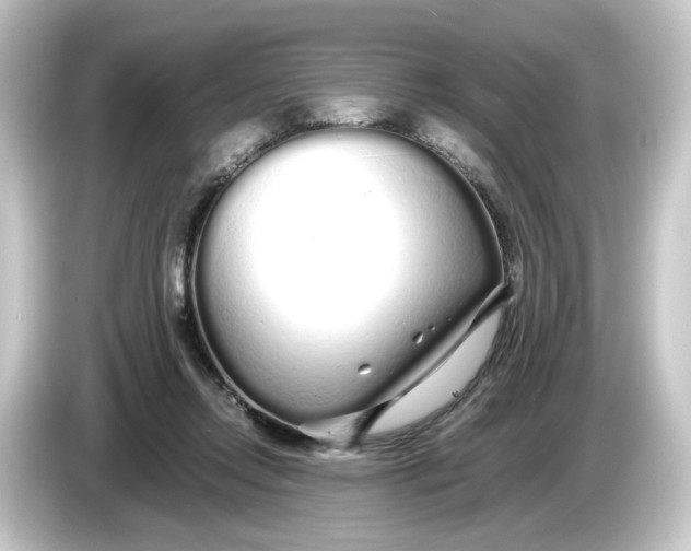 X0000084550358200703161650