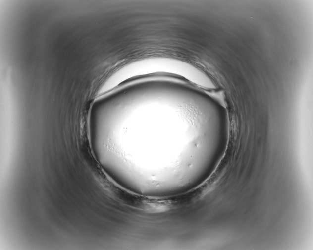 X0000084550359200703161650