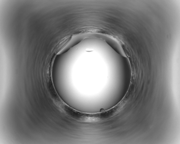 X0000084550360200703161650