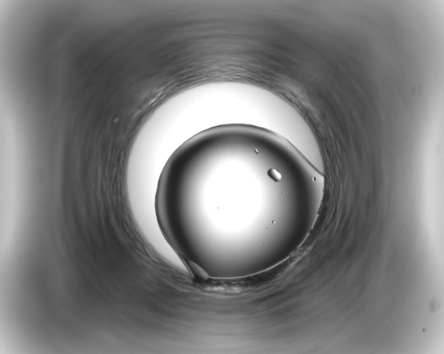 X0000084550362200703161650