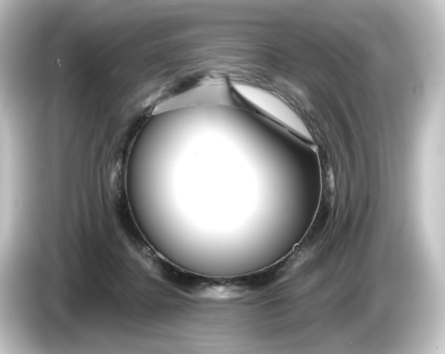 X0000084550364200703161650