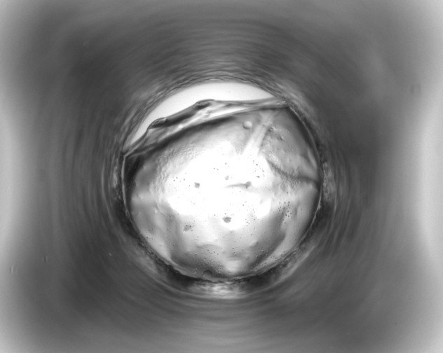 X0000084550365200703161650