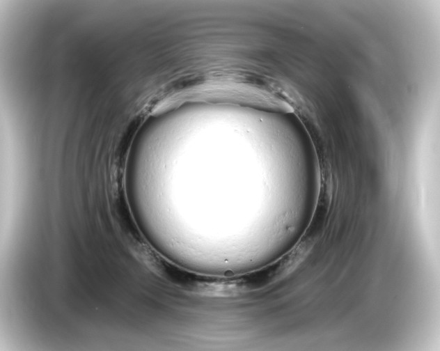 X0000084550366200703161650