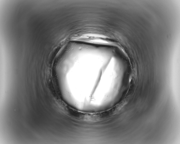 X0000084550367200703161651