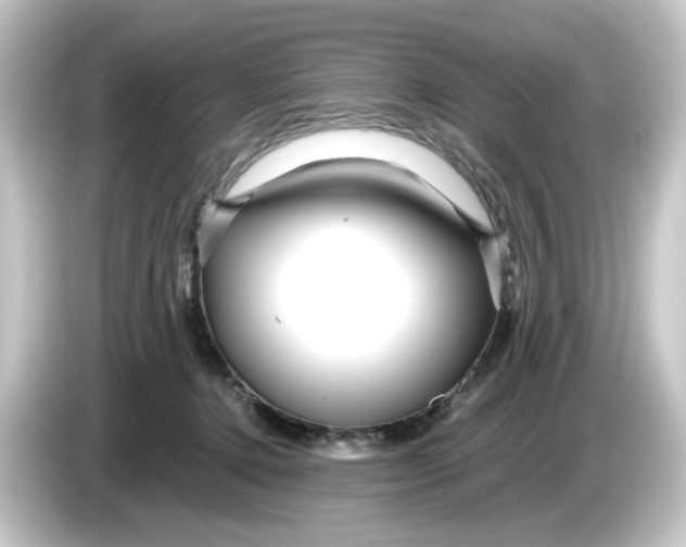 X0000084550368200703161651