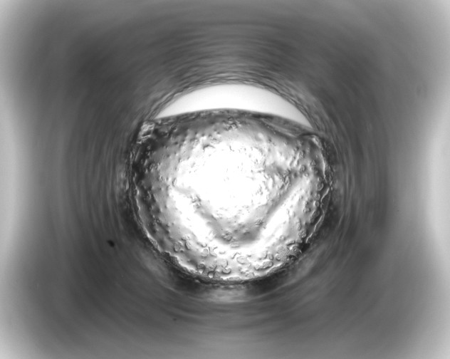 X0000084550369200703161651