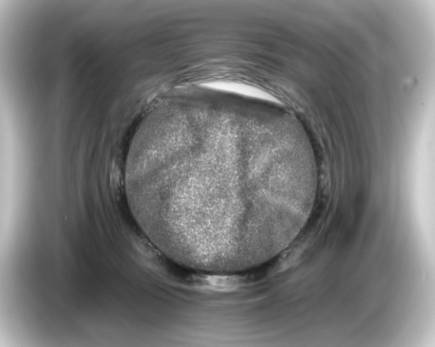 X0000084550371200703161651