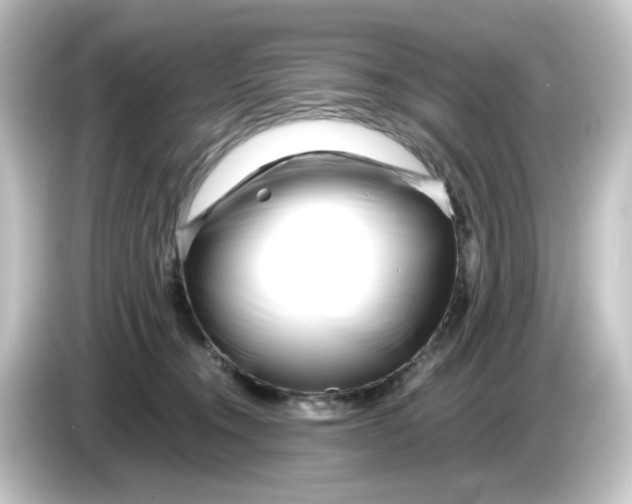 X0000084550372200703161651