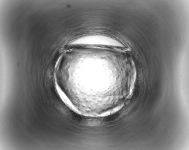 X0000084550373200703161651