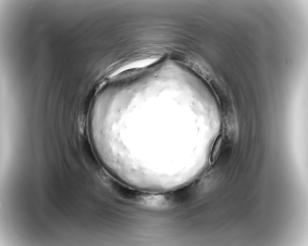 X0000084550374200703161651